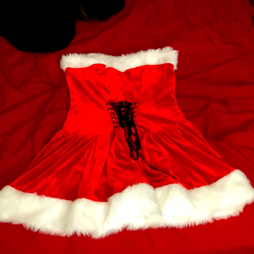 Mrs.Claus Christmas dress or Halloween costume perfect for both !